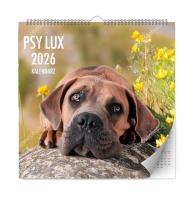 Kalendarz 2026 ścienny lux psy. Wydawca: Kalpol. SmakLiter.pl Opakowanie Kalendarz 2026 ścienny lux psy
