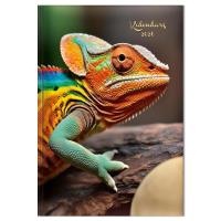 Opakowanie Kalendarz 2026 tygodniowy A5 Kameleon SK1