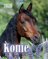 Opakowanie Kalendarz 2026 wieloplanszowy 34x44cm Konie