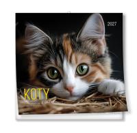 Opakowanie Kalendarz 2027 ścienny 30x30cm Koty