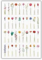 Opakowanie Karnet 12x18cm + koperta Kwiaty z łodygą