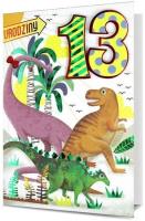 Okładka książki KARNET 13 URODZINY HM-100-761