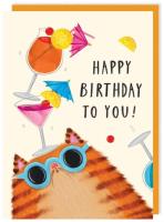 Opakowanie Karnet 304 Urodziny Kot z kotajlami