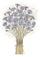 Opakowanie Karnet A5 Imieniny - Chabry