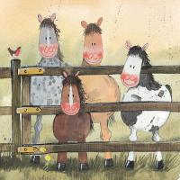 Karnet AC28 Konie i kuce. Wydawca: Alex Clark. SmakLiter.pl Opakowanie Karnet AC28 Konie i kuce