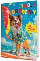 Karnet B6 Urodziny. Wydawca: PAN DRAGON. SmakLiter.pl Opakowanie Karnet B6 Urodziny