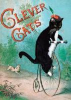 Opakowanie Karnet B6 z kopertą Mądre koty