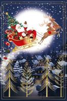 Opakowanie Karnet Boże Narodzenie - Flying Rudolph