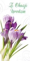 Opakowanie Karnet Flowers Urodziny wzór nr 2