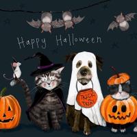 Opakowanie Karnet Halloween kwadrat Happy Halloween