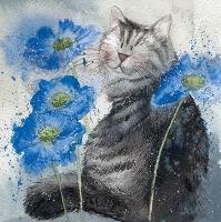 Karnet Kot i chabry. Wydawca: Alex Clark. SmakLiter.pl Opakowanie Karnet Kot i chabry