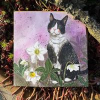 Karnet Kot i ciemierniki. Wydawca: Alex Clark. SmakLiter.pl Opakowanie Karnet Kot i ciemierniki