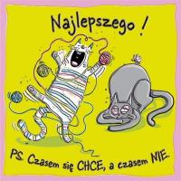 Opakowanie Karnet KW Kotki i psotki