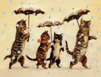 Opakowanie Karnet mini brokat z kopertą Święta Kotki