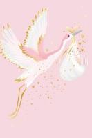 Opakowanie Karnet Narodziny - Pink Stork