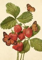 Karnet ST502 B6 + koperta Truskawki i motyle. Wydawca: Skona Ting. SmakLiter.pl Opakowanie Karnet ST502 B6 + koperta Truskawki i motyle