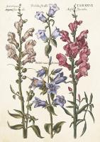 Karnet ST512 B6 + koperta Niebieskie kwiaty. Wydawca: Skona Ting. SmakLiter.pl Opakowanie Karnet ST512 B6 + koperta Niebieskie kwiaty