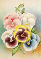 Opakowanie Karnet ST536 B6 + koperta Bratki