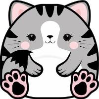 Opakowanie Karnet Uniwersalny - Chonky Cat