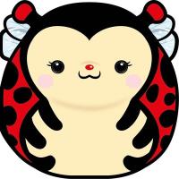 Opakowanie Karnet Uniwersalny - Chonky Ladybug