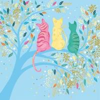 Opakowanie Karnet Uniwersalny - Classy Cats