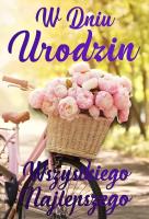 Opakowanie Karnet Urodziny damskie rower