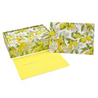 Karnety mini Cytryny z Amalfi. Wydawca: Peter Pauper Press. SmakLiter.pl Opakowanie Karnety mini Cytryny z Amalfi