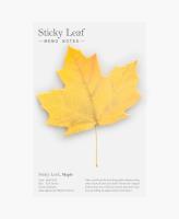 Opakowanie Karteczki samoprzylepne Klon żółty M