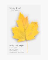 Opakowanie Karteczki samoprzylepne Klon żółty S