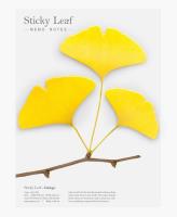 Opakowanie Karteczki samoprzylepne Miłorząb żółty L