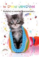 Opakowanie Kartka okolicznościowa Urodziny TS09