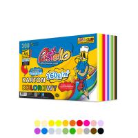 Karton kolorowy A4 160g 20 kolorów 300 arkuszy. Wydawca: Alfa Pastello. SmakLiter.pl Opakowanie Karton kolorowy A4 160g 20 kolorów 300 arkuszy