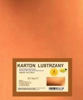 Opakowanie Karton obustronnie lustrzany 350g 21,5x32cm