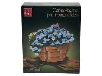 Opakowanie Klocki - kwiaty w doniczce