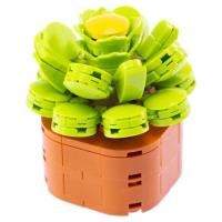 Opakowanie Klocki Mini Kwiaty Aeonium 136el