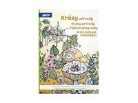 Kolorowanka antystresowa piękno przyrody. Wydawca: MFP. SmakLiter.pl Opakowanie Kolorowanka antystresowa piękno przyrody