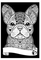 Opakowanie Kolorowanka Welwetowa A4 Buldog Francuski