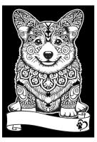 Opakowanie Kolorowanka welwetowa A4 Corgi