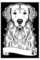 Opakowanie Kolorowanka welwetowa A4 Golden retriever