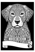 Opakowanie Kolorowanka Welwetowa A4 Labrador