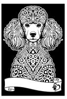 Opakowanie Kolorowanka Welwetowa A4 Pudel