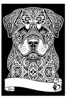 Opakowanie Kolorowanka welwetowa A4 Rottweiler