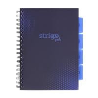 Kołozeszyt Pads B5/100K kratka Basic granatowy. Wydawca: Strigo. SmakLiter.pl Opakowanie Kołozeszyt Pads B5/100K kratka Basic granatowy