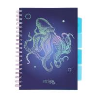 Kołozeszyt Pads B5/100K kratka Głębiny Ośmiornica. Wydawca: Strigo. SmakLiter.pl Opakowanie Kołozeszyt Pads B5/100K kratka Głębiny Ośmiornica