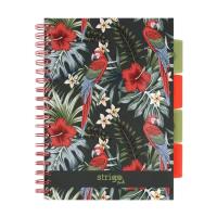 Kołozeszyt Pads B5/100K kratka Tropiki Papuga. Wydawca: Strigo. SmakLiter.pl Opakowanie Kołozeszyt Pads B5/100K kratka Tropiki Papuga