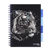 Kołozeszyt Pads B5/100K kratka Tygrys. Wydawca: Strigo. SmakLiter.pl Opakowanie Kołozeszyt Pads B5/100K kratka Tygrys