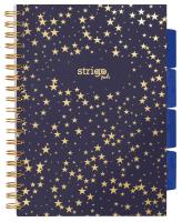 Kołozeszyt Strigo B5 Project Book Gwiazdy czarny kratka. Wydawca: Strigo. SmakLiter.pl Opakowanie Kołozeszyt Strigo B5 Project Book Gwiazdy czarny kratka
