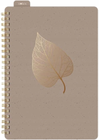 Kołozeszyt z gumką A5/80K linia brązowy. Wydawca: MFP. SmakLiter.pl Opakowanie Kołozeszyt z gumką A5/80K linia brązowy