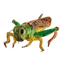 Konik polny 41cm. Wydawca: Beppe. SmakLiter.pl Opakowanie Konik polny 41cm