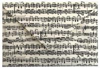 Opakowanie Koperta BSM.554 23x16cm Muzyka